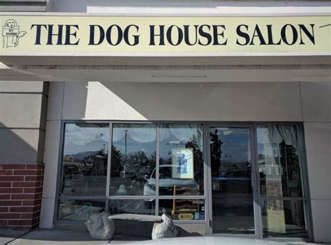yelp reno best dog grooming.